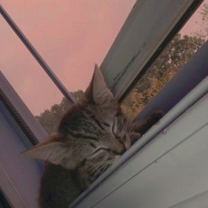 Meet your Posher, Regina